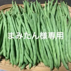 6/20 まみたん様専用 — image 1