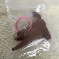 タカラトミーアーツ のびズム トイプードル ガチャ — image 1