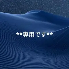 **専用です**② — image 1