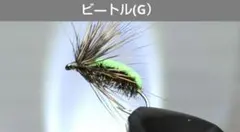 ビ―トル(G） — image 1