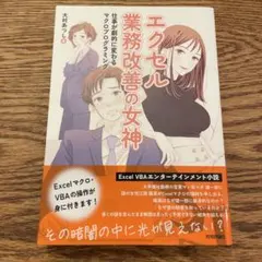 エクセル業務改善の女神 仕事が劇的に変わるマクロプログラミング — image 1