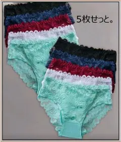 レディースショーツ【3L】 — image 1
