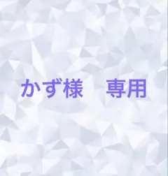 かず様　専用 — image 1
