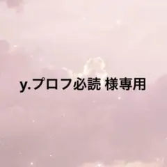 y.プロフ必読 様専用ページ — image 1