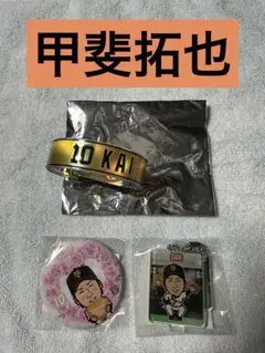 甲斐拓也 オーロラブレス 缶バッジ アクキー — image 1
