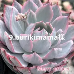 9.burikimama様 — image 1