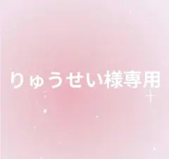りゅうせい様専用 — image 1