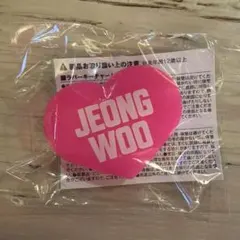 JEONG WOO 団扇アクセサリー — image 1