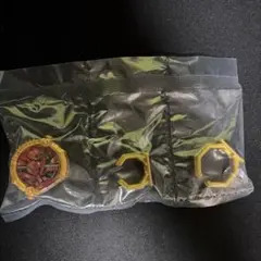 センタイリングゴーカイジャー　ブーステッドver. — image 1