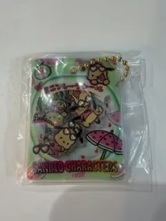 【匿名配送】サンリオ　シャカシャカフレークシール風　ポチャッコ — image 1