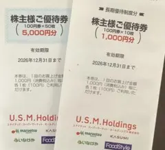 ⭐️USMHマルエツ カスミ MaxValu いなげや株主優待券 6000円分 — image 1