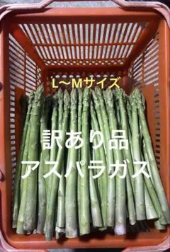 訳あり品 アスパラガス 500ｇ — image 1