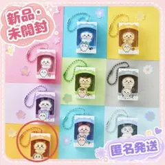 ちいかわ チョコボックス ボックスフィギュアコレクション7番 シーサー — image 1
