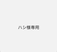 ハシ様専用 — image 1