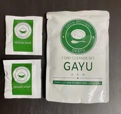 GREEN BROTHERS GAYU VEGGIE SOUP セット — image 1