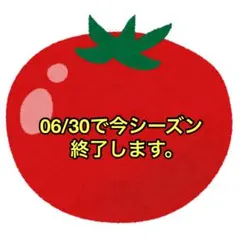 ミニトマト(フラガール)1kg — image 1