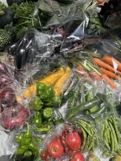 おまかせ野菜セット！訳あり。 — image 1