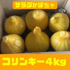コリンキー(サラダかぼちゃ)採れたて　4kg — image 1
