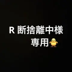 R 断捨離中様専用 — image 1