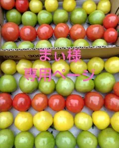 まぃ様専用ページ — image 1