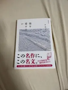 傷を愛せるか — image 1