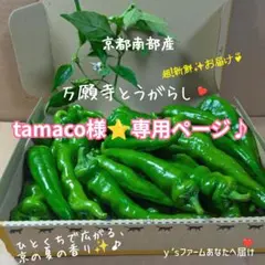 tamaco 様⭐️専用ページです — image 1