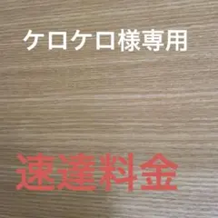 ケロケロ様　専用　速達料金 — image 1