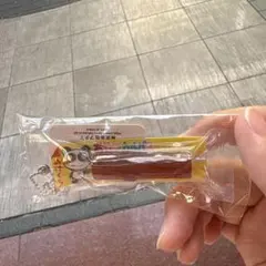 TAITO限定 ミニチュア ヤガイ おやつカルパス リアルチャーム キーホルダー — image 1