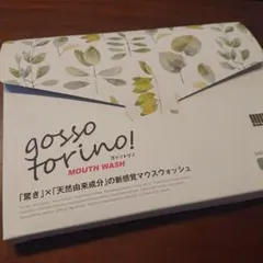 ゴッソトリノ　ゴットソリノ　gosso torino 10包装　お試し — image 1