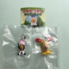こびとづかん　めじるしフレンズ　2種セット　匿名配送 — image 1