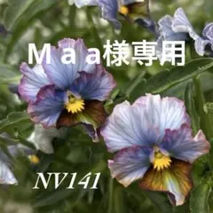 M a a様専用•*¨*•.¸♬︎ — image 1