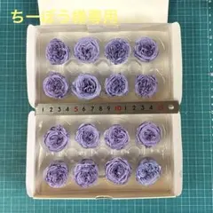 ナナガーデンローズのリラが2箱 — image 1