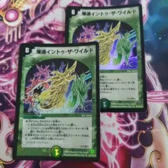 390 爆進イントゥザワイルド　ホイル — image 1