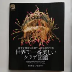 世界で一番美しいクラゲ図鑑 = The most beautiful phot… — image 1