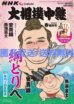 大相撲中継 令和8年 春場所号 安青錦 — image 1
