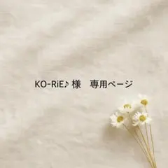 KO-RiE♪様専用ページ — image 1