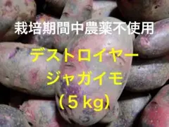 栽培期間中農薬不使用　ジャガイモ　デストロイヤー（５kg） — image 1