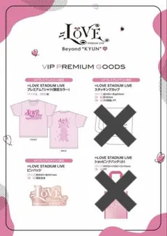 ＝LOVE Beyond "KYUN"♡ VIPプレミアム グッズ 2点セット — image 1