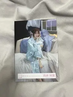 櫻坂46 向井純葉 生写真 what's kazoku? — image 1