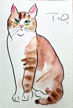 ドローイング水彩画今日の猫 — image 1