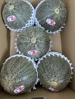 産地直送！青肉アムスメロン❗️甘くて美味しい❗️5玉箱込5.5キロ前後 — image 1