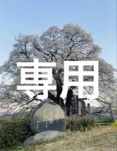 専用出品 — image 1