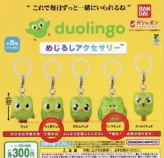 duolingo めじるしアクセサリー　2点セット — image 1