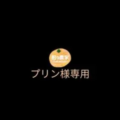 プリン様専用(28日以降発送） — image 1