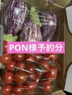 0621 PON様用野菜セット — image 1