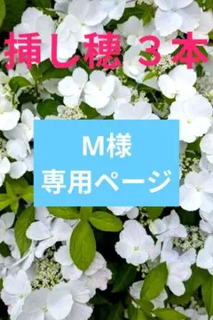 M様専用ページ — image 1