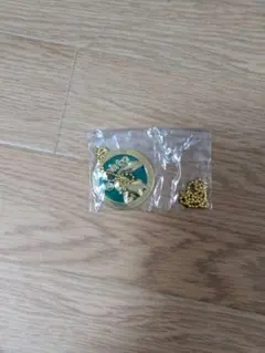ポケモン一番くじ　30周年記念メタルチャームチコリータ — image 1
