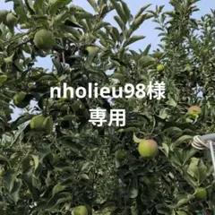 nholieu98様専用 — image 1