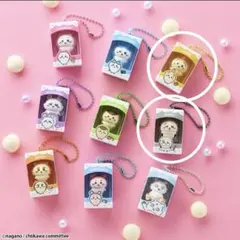 ちいかわ　チョコボックス　キーホルダー　2個セット　開封のみ　お菓子なし — image 1