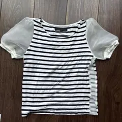 MERCURYDUO ボーダー 半袖 Tシャツ シアー袖 — image 1